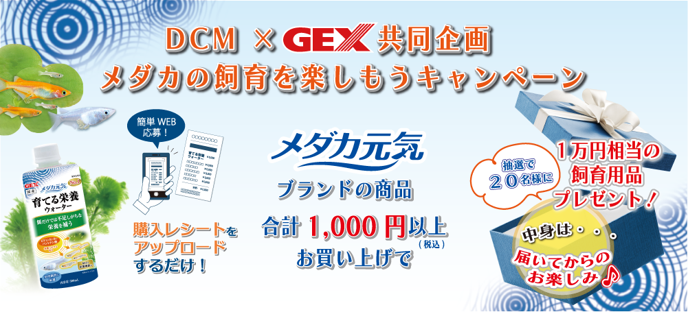 DCM × GEX 共同企画 メダカの飼育を楽しもうキャンペーン