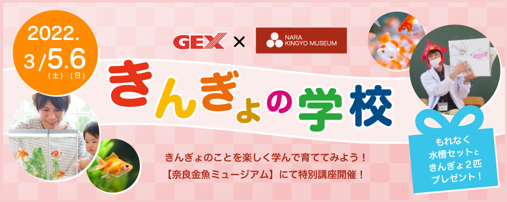【奈良金魚ミュージアム特別講座】きんぎょの学校