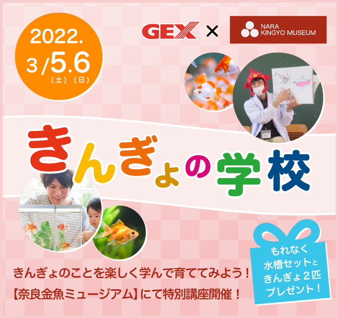 【奈良金魚ミュージアム特別講座】きんぎょの学校