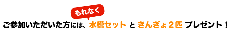 ご参加いただいた方には、もれなく水槽セットときんぎょ2匹プレゼント!