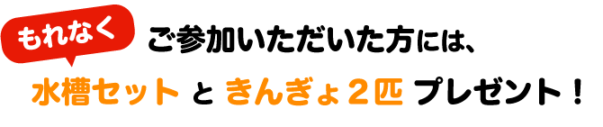 ご参加いただいた方には、もれなく水槽セットときんぎょ2匹プレゼント!