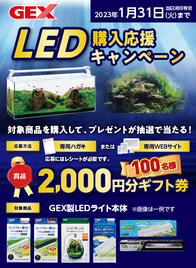 LED購入応援キャンペーン