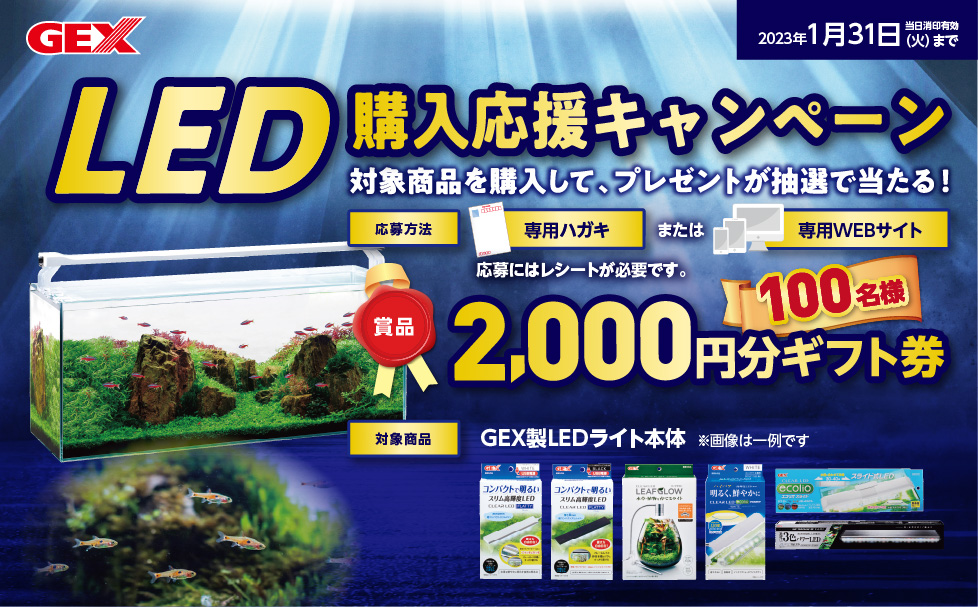 LED購入応援キャンペーン