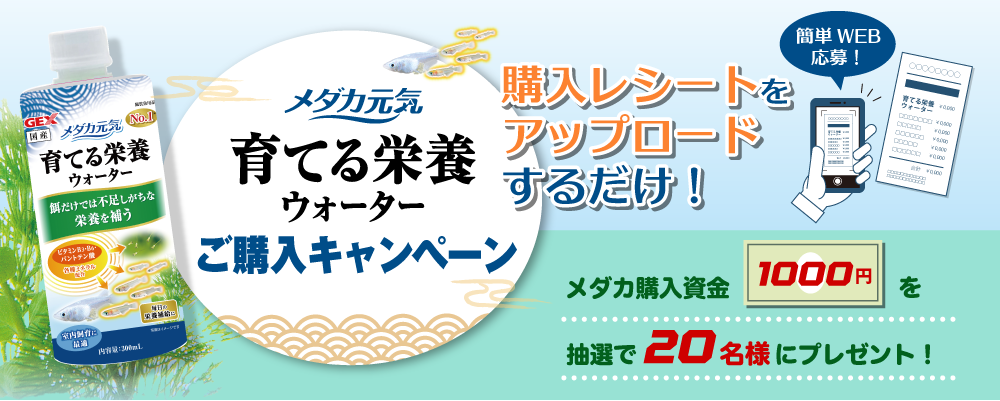 メダカ元気 育てる栄養ウォーター ご購入キャンペーン