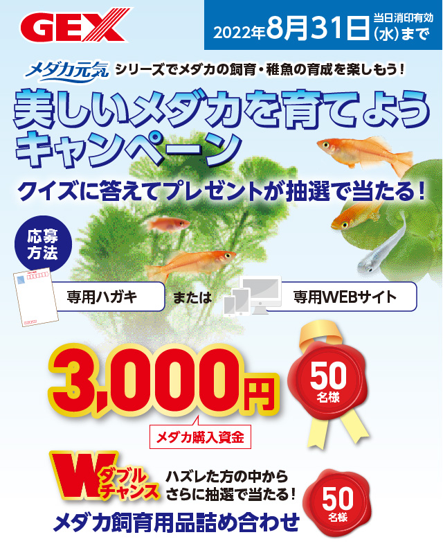 floverseGEXメダカ元気やさしいネットやわらか黒色メッシュ柄を曲げて使用可能メダカ飼育用水槽鉢に最適 floverseGEXメダカ元気やさしいネットやわらか黒色メッシュ柄を曲げて使用可能メダカ飼育用水槽鉢に最適