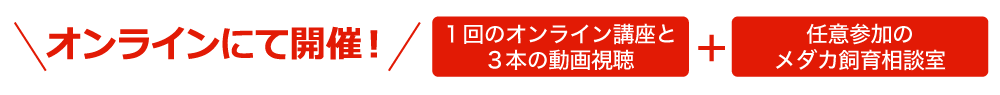 オンラインにて開催