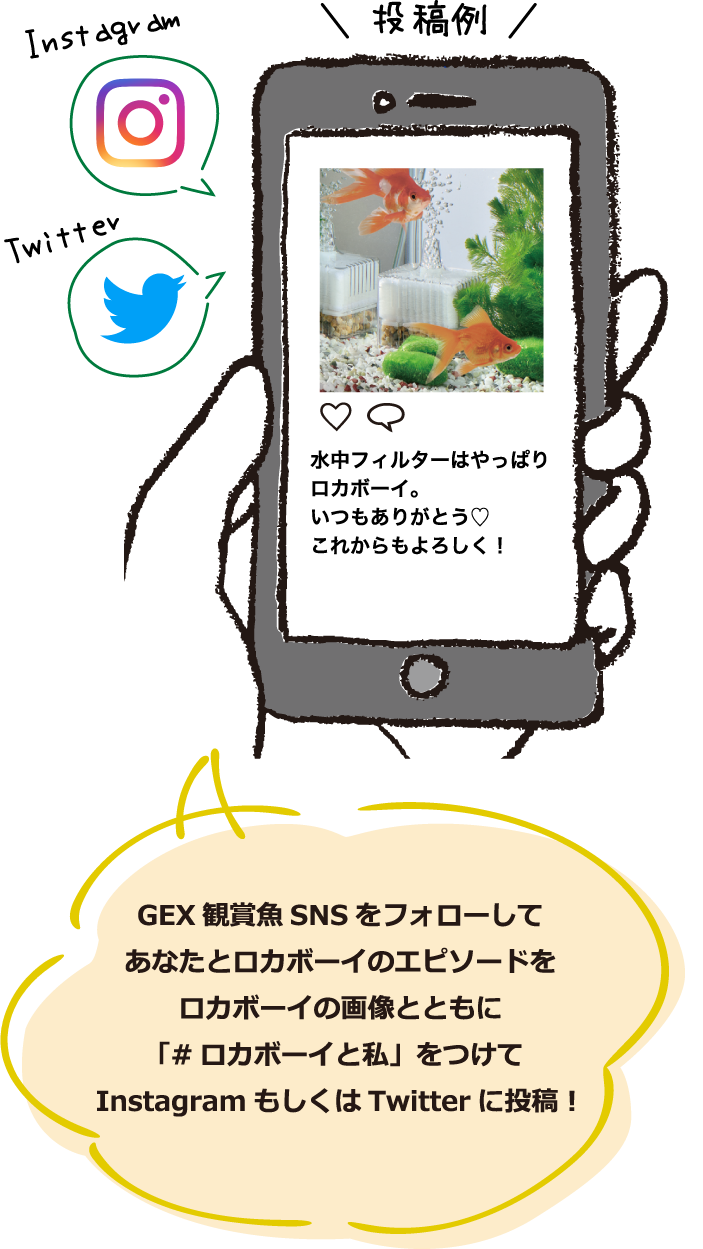 GEX観賞魚SNSをフォローしてあなたとロカボーイのエピソードをロカボーイの画像とともに「#ロカボーイと私」をつけてInstagramもしくはTwitterに投稿!