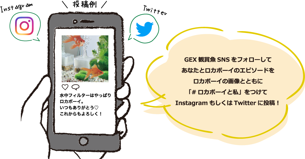 GEX観賞魚SNSをフォローしてあなたとロカボーイのエピソードをロカボーイの画像とともに「#ロカボーイと私」をつけてInstagramもしくはTwitterに投稿!