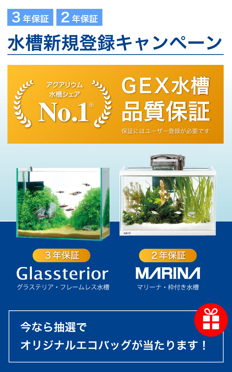 水槽3年保証 2年保証新規登録キャンペーン 熱帯魚 観賞魚 アクアリウム用品 ジェックス株式会社 水槽3年保証 2年保証新規登録キャンペーン 熱帯魚 観賞魚 アクアリウム用品 ジェックス株式会社