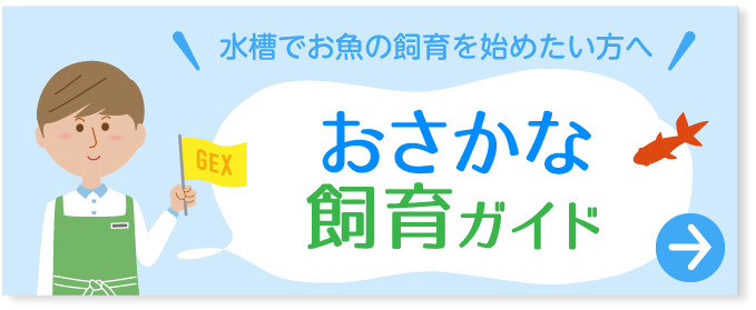 水槽でお魚の飼育を始めたい方へ　おさかな飼育ガイド