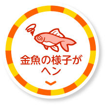 金魚の様子がヘン