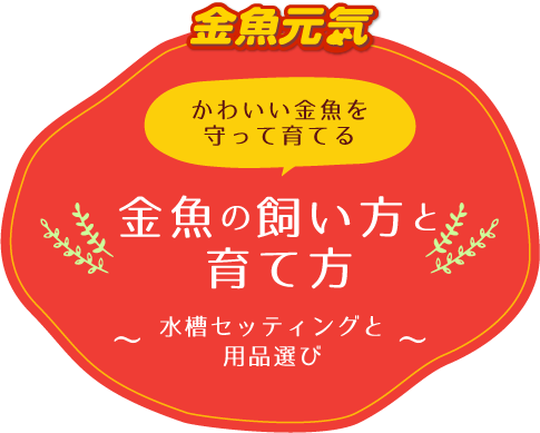 かわいい金魚を守って育てる 金魚の飼い方と育て方 〜水槽セッティングと用品選び〜