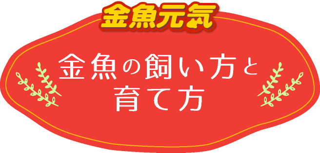 綺麗に死ぬ方法