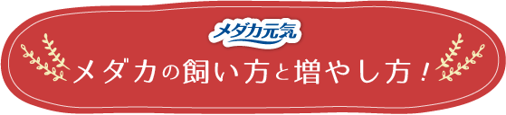 たくさんふえる元気に育つ メダカの飼い方と増やし方 〜しっかり育ててたくさん増やす用品選び〜