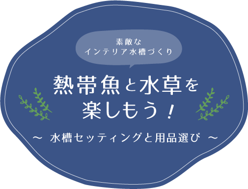 素敵なインテリア水槽づくり 熱帯魚と水草を楽しもう 〜水槽セッティングと用品選び〜