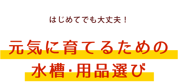 はじめてでも大丈夫！元気に育てるための水槽・用品選び