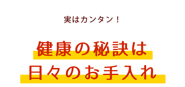 実はカンタン！健康の秘訣は日々のお手入れ