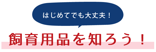 はじめてでも大丈夫！飼育用品を知ろう！