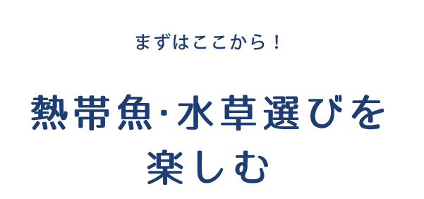 まずはここから！ 熱帯魚・水草選びを楽しむ