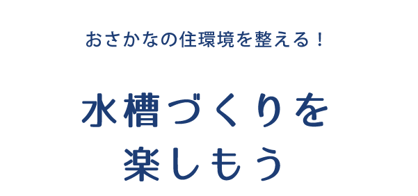 おさかなの住環境を整える！ 水槽づくりを楽しもう