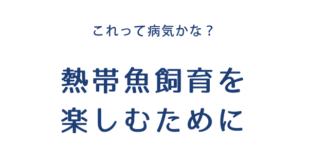 これって病気かな？ 熱帯魚飼育を楽しむために