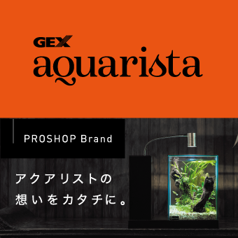 アクアリウム情報 金魚 メダカ 熱帯魚用品のジェックス
