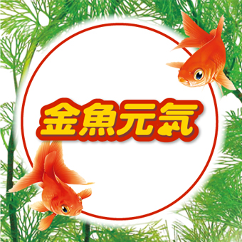 金魚元気