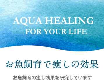 AQUA HEALING FOR YOUR LIFE お魚飼育で癒しの効果 お魚飼育の癒し効果を研究しています