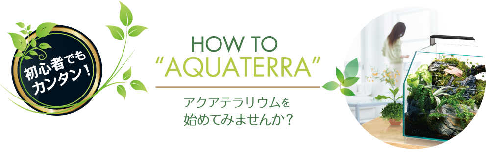 HOW TO AQUATERRA 初心者でもカンタン！ アクアテラリウムを始めてみませんか？