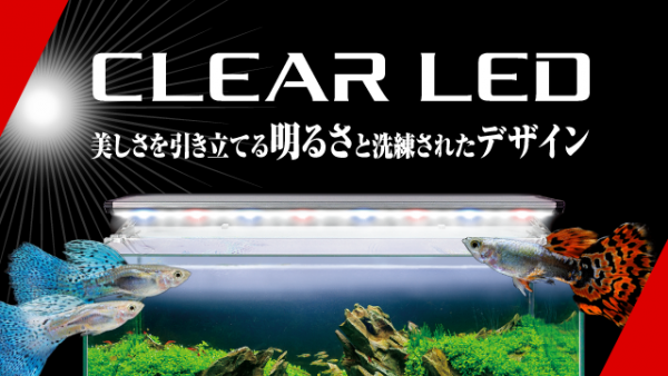 CLEAR LED