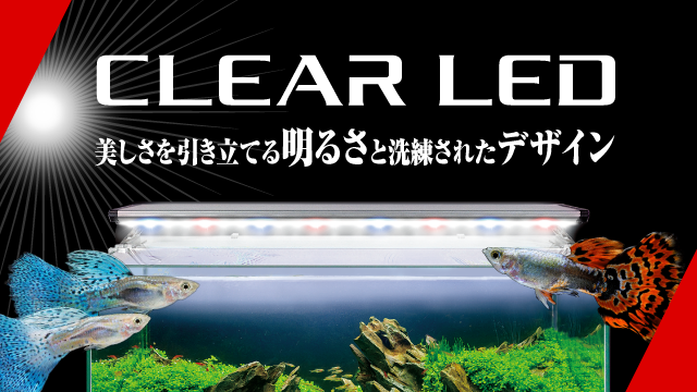 CLEAR LED 熱帯魚 観賞魚 アクアリウム用品 ジェックス株式会社