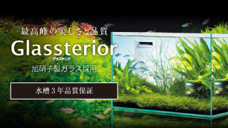 最高峰の美しさと品質　グラステリア　旭硝子製ガラス採用　水槽3年品質保証