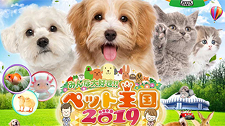 5月5日(日・祝)、6日(月・祝)に京セラドーム大阪にて開催されます、「ペット王国2019」に出展します。