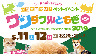 5月11日(土)、12日(日)に道の駅うつのみや ろまんちっく村にて開催されます、「第5回 ワンダフルとちぎ2019」に出展します。