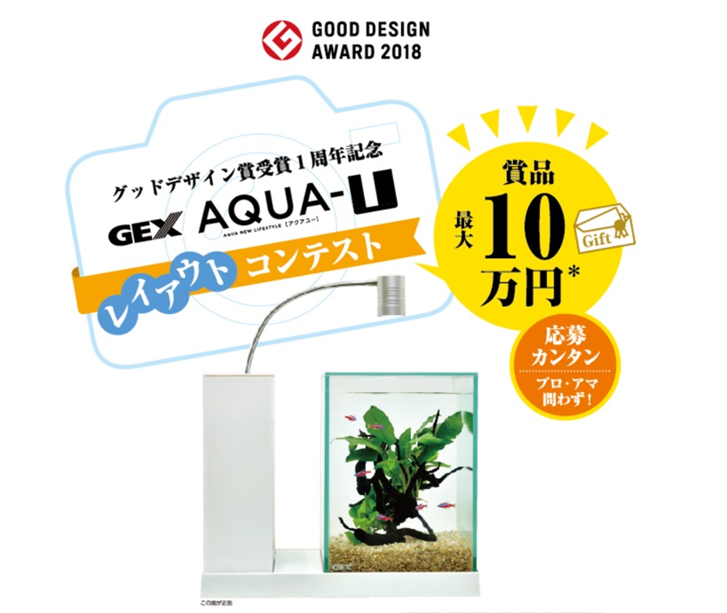 最大10万円分のギフト券がもらえる Aqua U レイアウトコンテスト 結果発表 熱帯魚 観賞魚 アクアリウム用品 ジェックス株式会社 最大10万円分のギフト券がもらえる Aqua U レイアウトコンテスト 結果発表 熱帯魚 観賞魚 アクアリウム用品 ジェックス株式会社