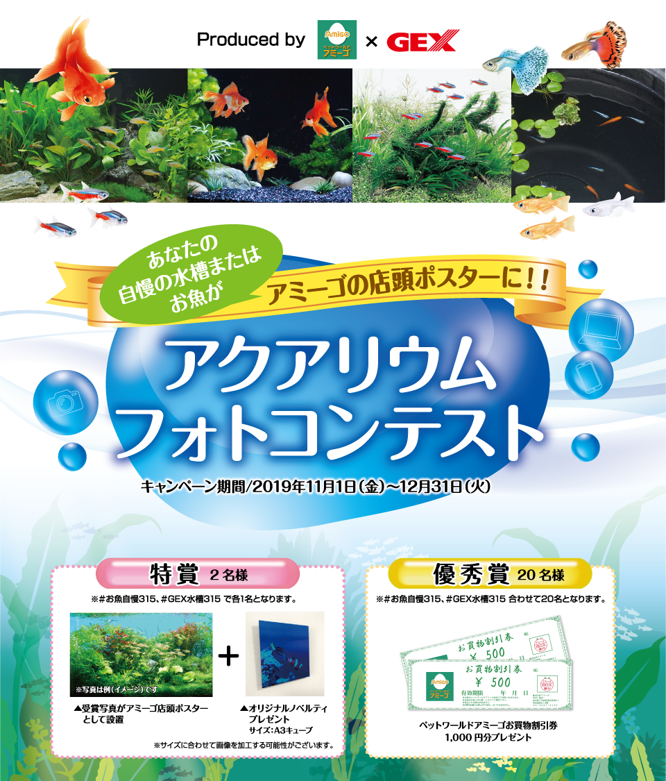 アミーゴ ジェックス キャンペーン 熱帯魚 観賞魚 アクアリウム用品 ジェックス株式会社