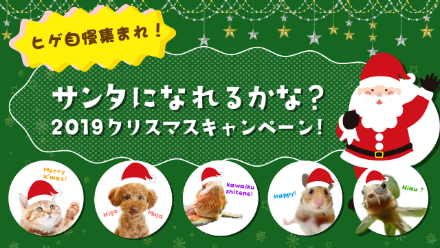 サンタになれるかな？2019クリスマスキャンペーン