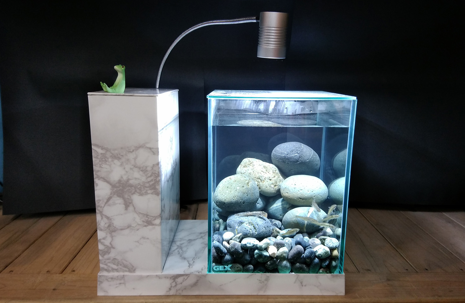 最大10万円分のギフト券がもらえる Aqua U レイアウトコンテスト 結果発表 熱帯魚 観賞魚 アクアリウム用品 ジェックス株式会社 最大10万円分のギフト券がもらえる Aqua U レイアウトコンテスト 結果発表 熱帯魚 観賞魚 アクアリウム用品 ジェックス株式会社