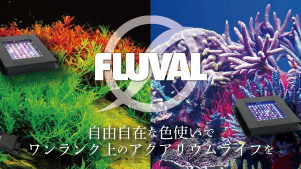 FLUVAL