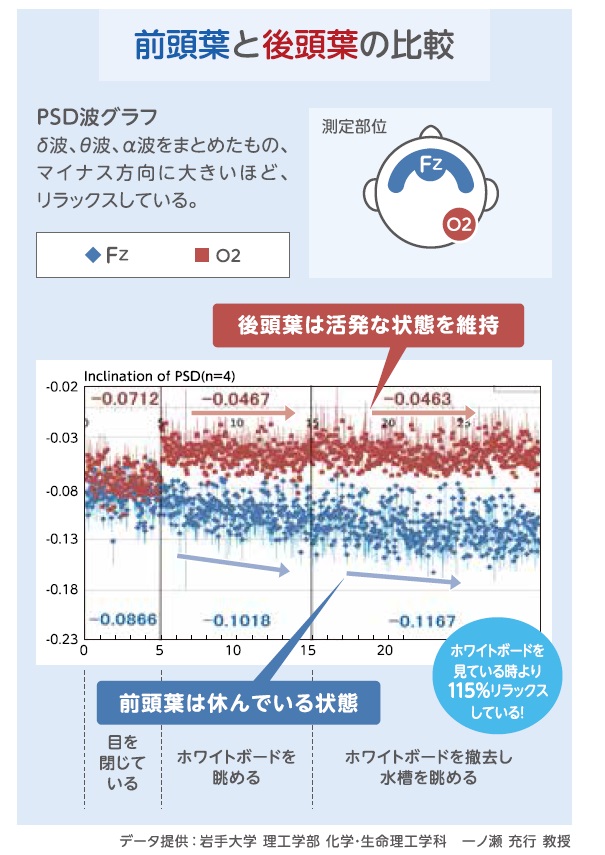 Gex Lab より 脳から見たアクアリウムの新しい効果 リラックス編