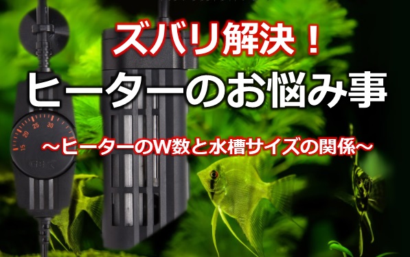 はじめてでも大丈夫 水槽用ヒーターの設置の仕方