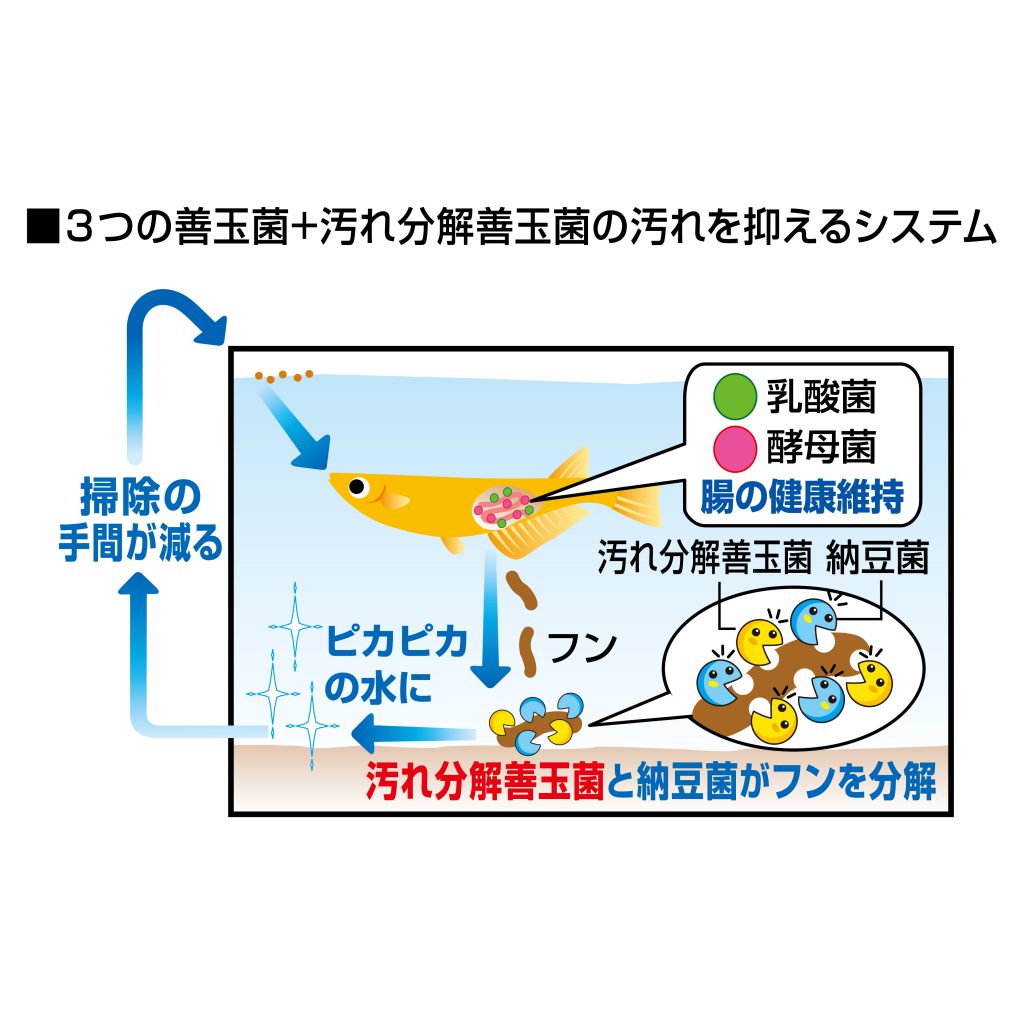 実はメダカ水槽のフン汚れが気になる人は多かった 善玉菌を強化配合した メダカ元気 プロバイオフードクリア の誕生です