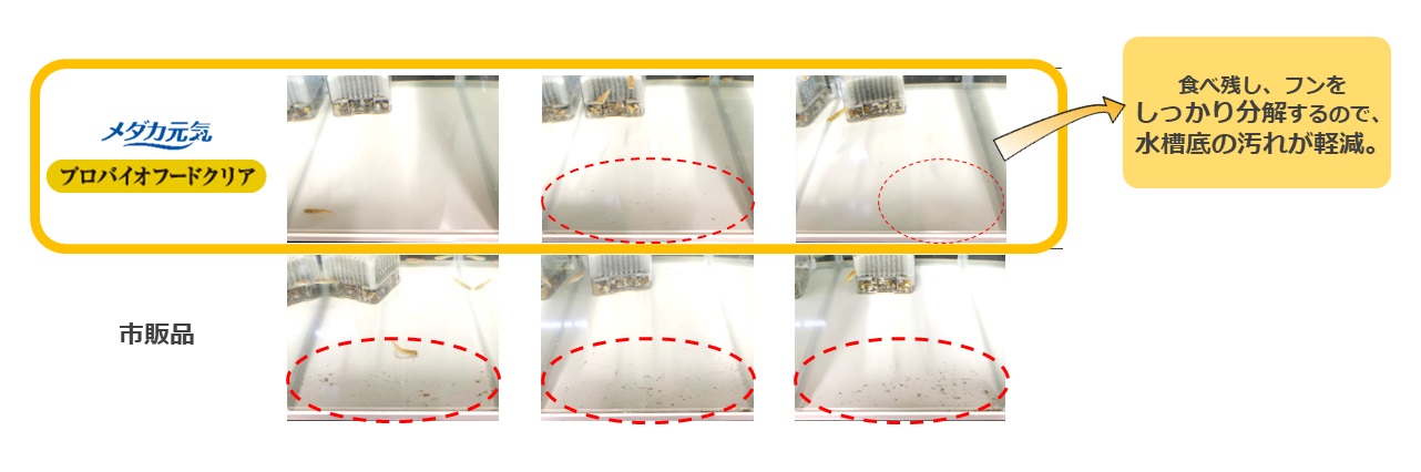 実はメダカ水槽のフン汚れが気になる人は多かった 善玉菌を強化配合した メダカ元気 プロバイオフードクリア の誕生です