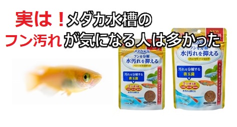 実はメダカ水槽のフン汚れが気になる人は多かった 善玉菌を強化配合した メダカ元気 プロバイオフードクリア の誕生です