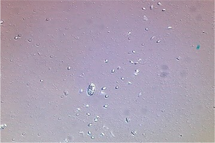 水が白く濁る原因 白濁りの原因を知り 正しく対処しよう