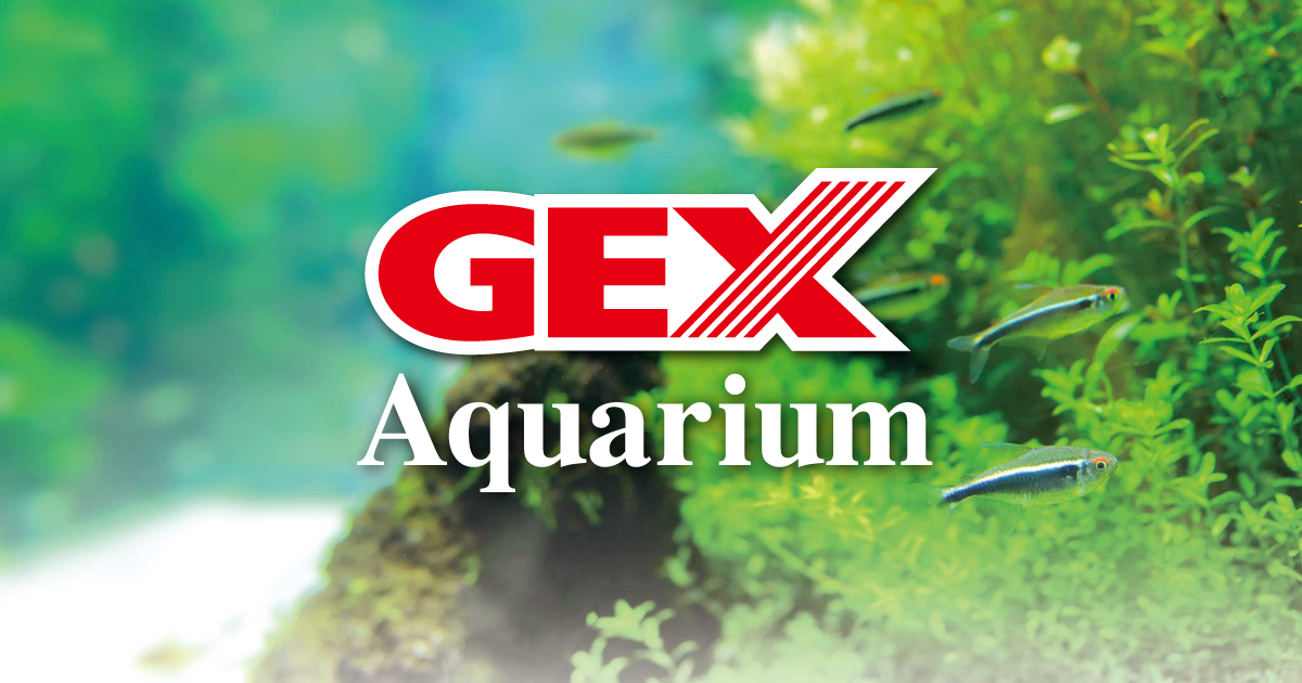 アクアリウム情報 | 金魚・メダカ・熱帯魚用品のジェックス