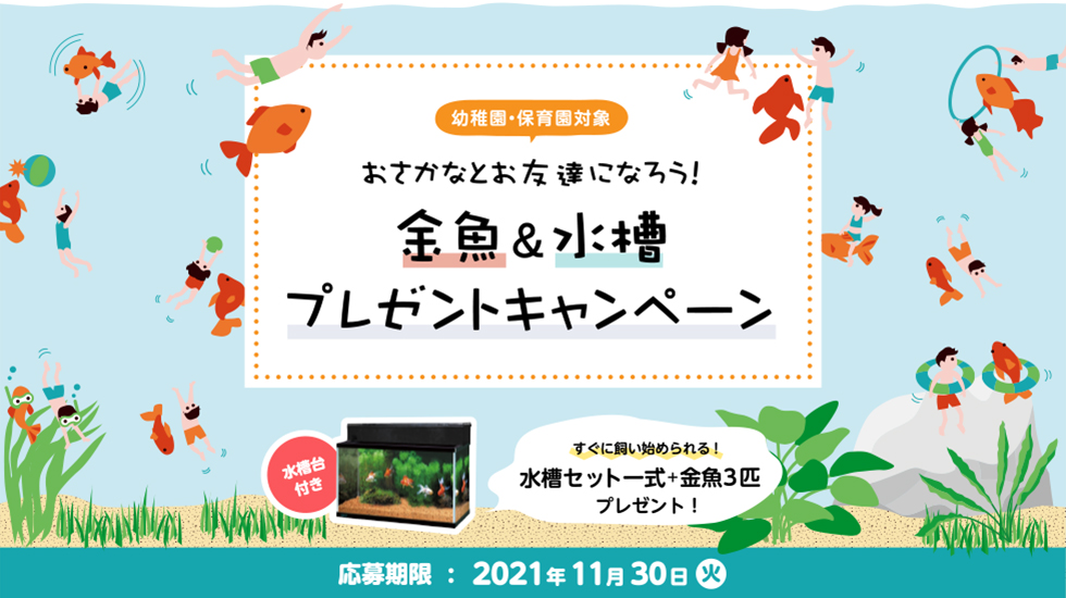 【幼稚園・保育園対象】おさかなとお友達になろう!金魚&水槽プレゼントキャンペーン
