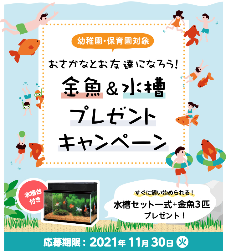 【幼稚園・保育園対象】おさかなとお友達になろう！金魚＆水槽プレゼントキャンペーン