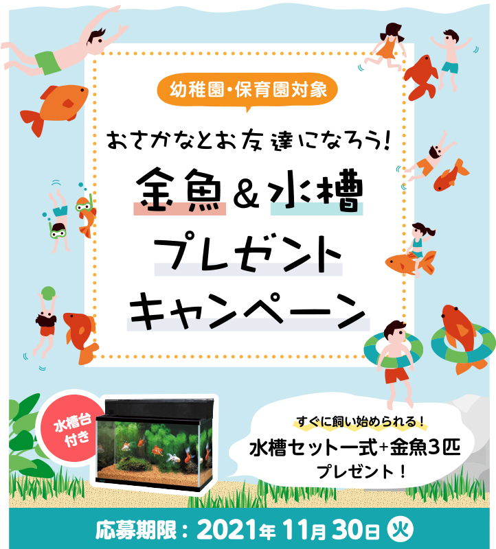 幼稚園 保育園対象 おさかなとお友達になろう 金魚 水槽プレゼントキャンペーン 熱帯魚 観賞魚 アクアリウム用品 ジェックス株式会社