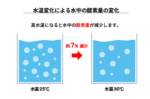 水中変化による水中の酸素量の変化